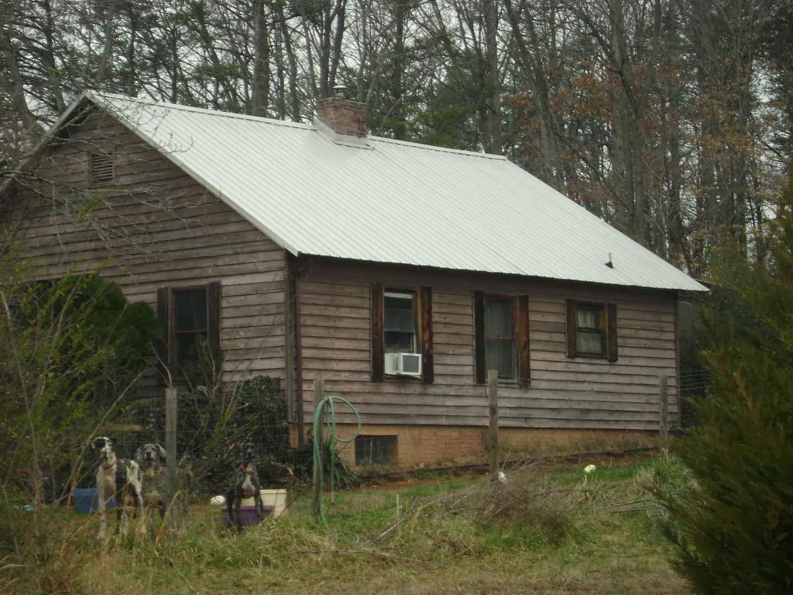White metal roof on an old wood sided farmhouse, from a Metal Roof Installation job in Silverdale